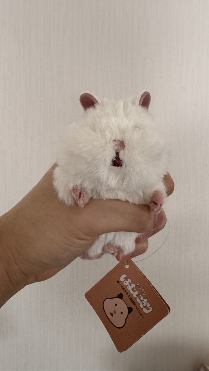 setouti__Lime's tweet photo. はむにぎり届いて早速トリミングした✂️ https://t.co/Fj1qM7e96H