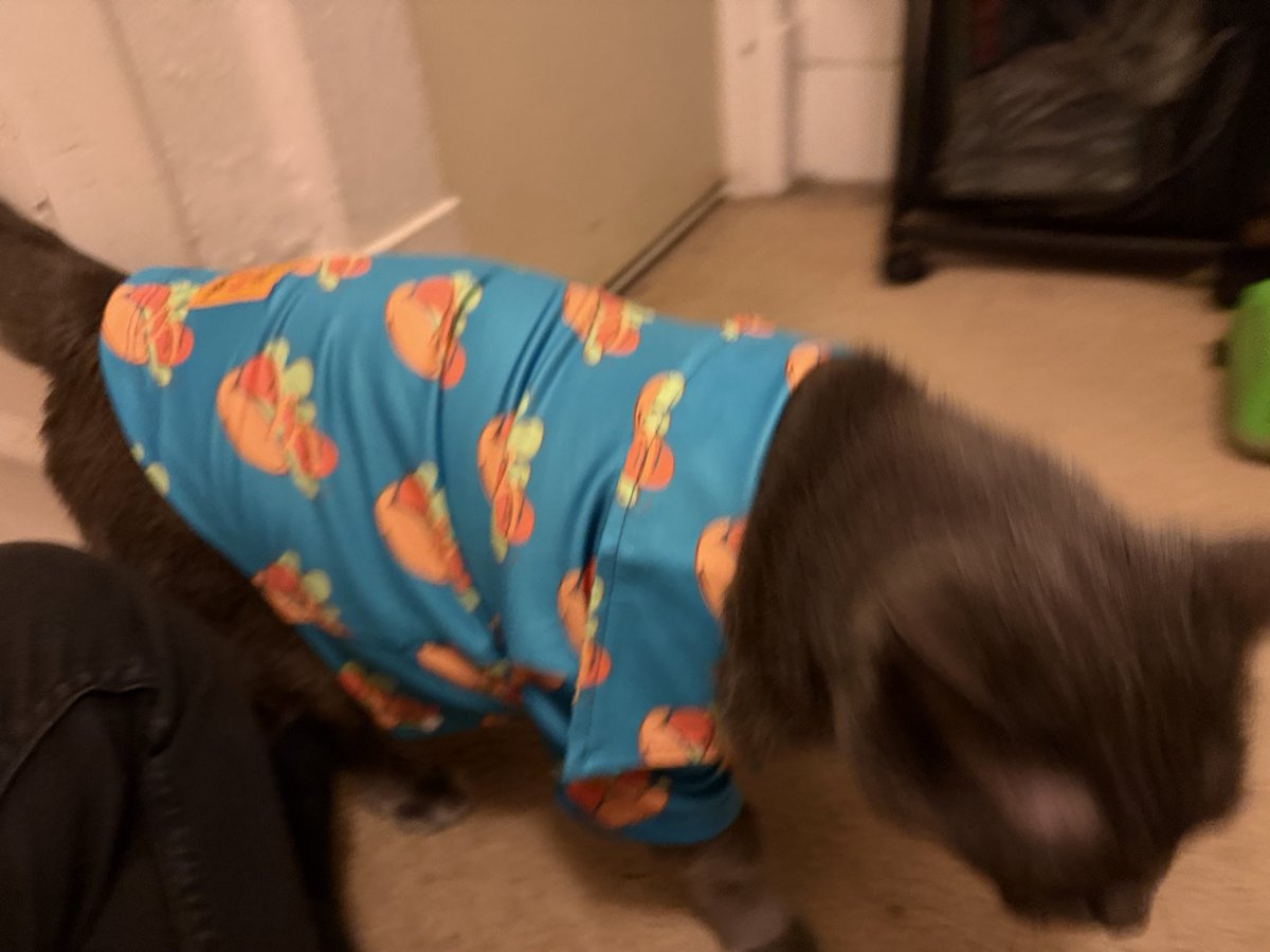 SticktheFigure's tweet photo. I think I underestimated how big my boy is…..
#dokimerch https://t.co/OwFH3BXkDT