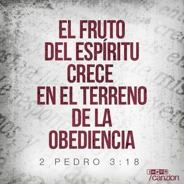 GerJesus48's tweet photo. https://t.co/RtjrbHjAOB