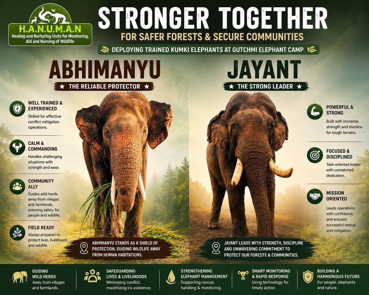 KJagadeesh_JSP's tweet photo. FLASH #NEWS H A N U M A N
👉#Abhimanyu The Reliable Protector
👉#Jayant The Strong Leader
H A N U M A N
- For Safer Forests & Secure Communities
Stronger Together Man Behind Wild Life Lover @PawanKalyan ♥️
జై జనసేన ✡️ #JSPForNewAgePolitics ✊
#PawanKalyan #JanaSenaParty