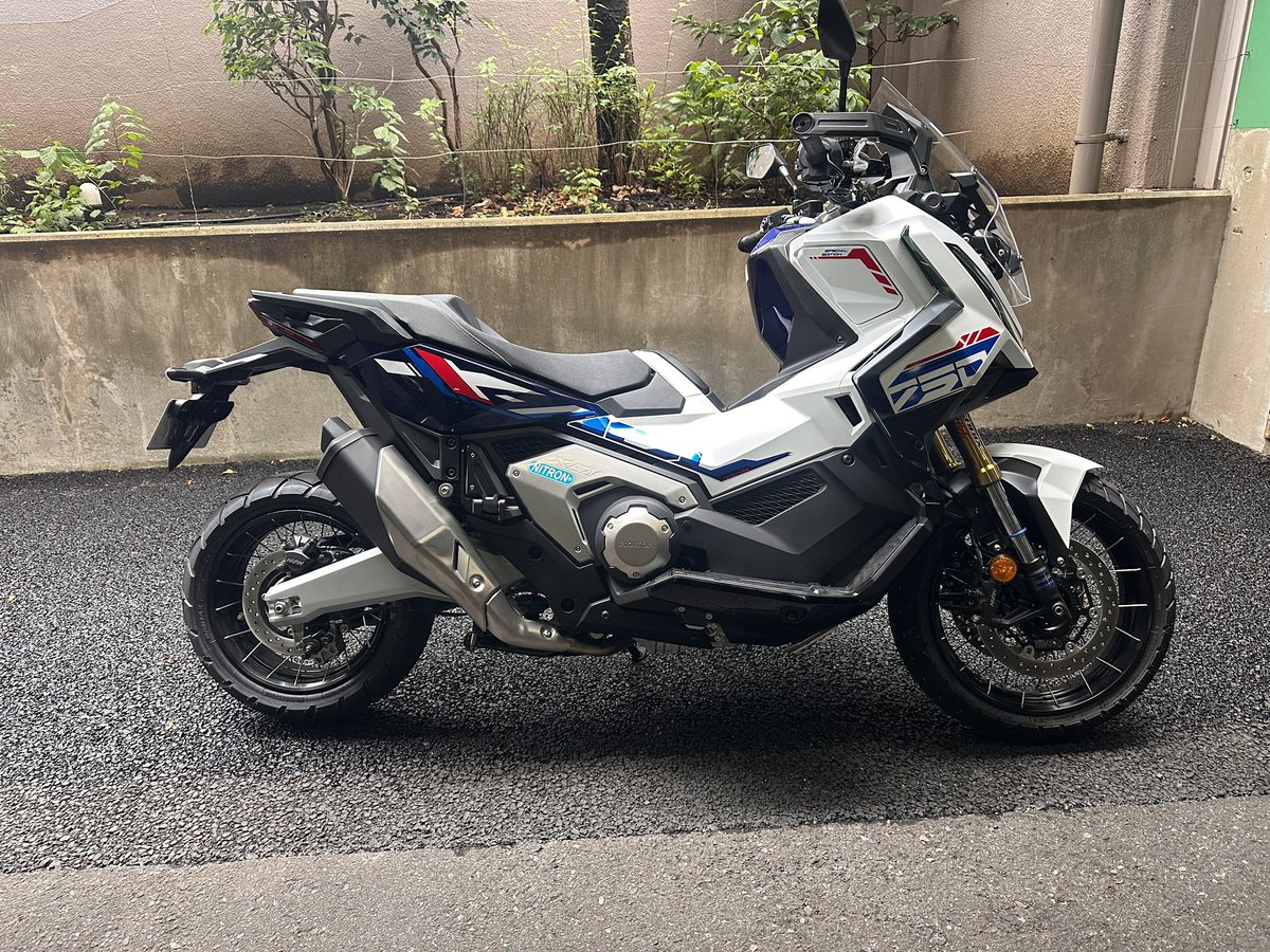 llovespeed tweet picture