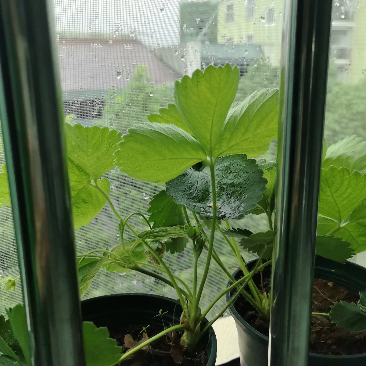 EveHenry88123's tweet photo. Just stared out the window for 10 mins, no agenda, just feeling the soft sun on my hands—small quiet moments hit so different lately. https://t.co/HFoWBxPUAc