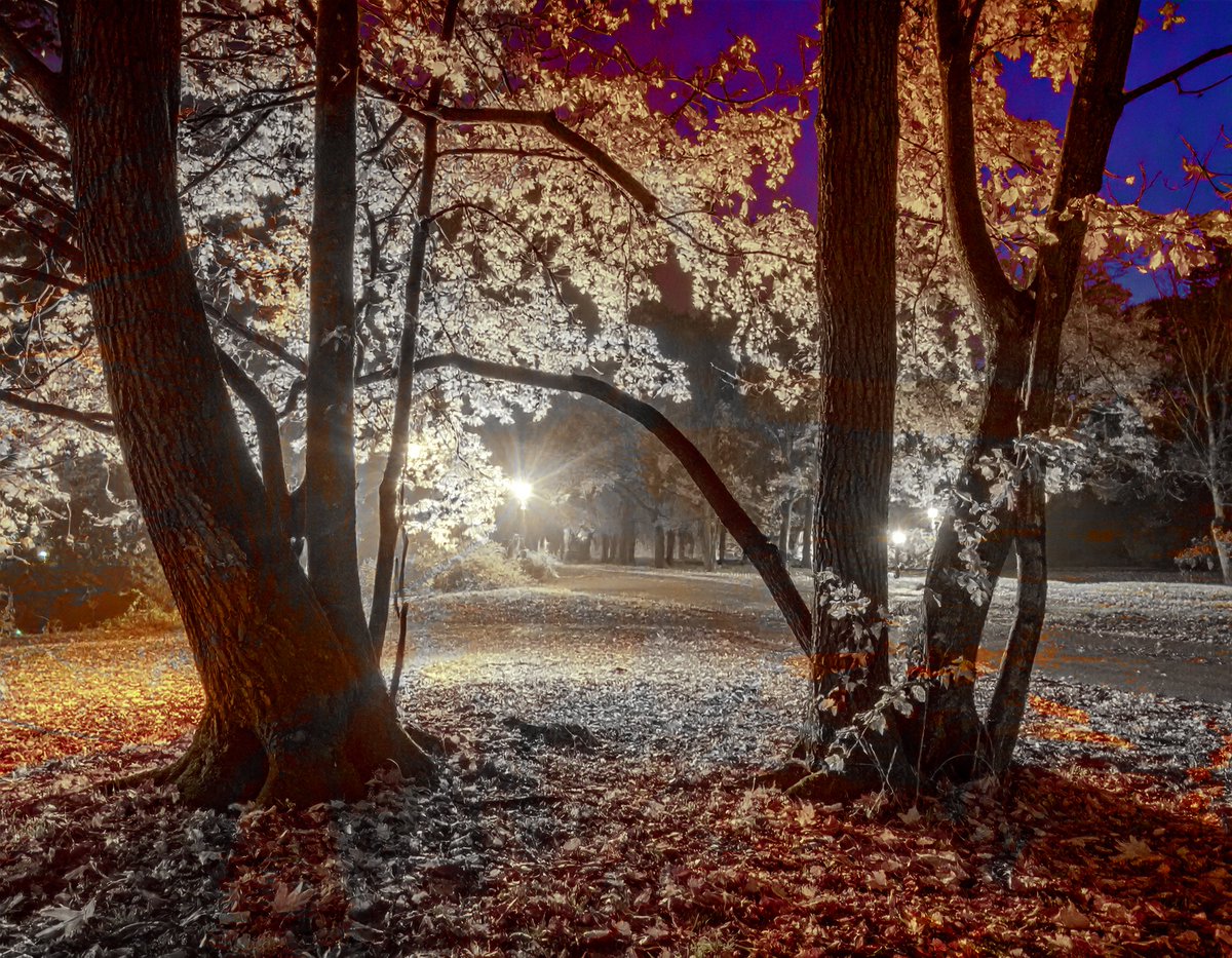 sanrotasu0216's tweet photo. The beginning of winter  Sự khởi đầu của mùa đông
#AI #PS #Adobe https://t.co/Dd0I18TsfK