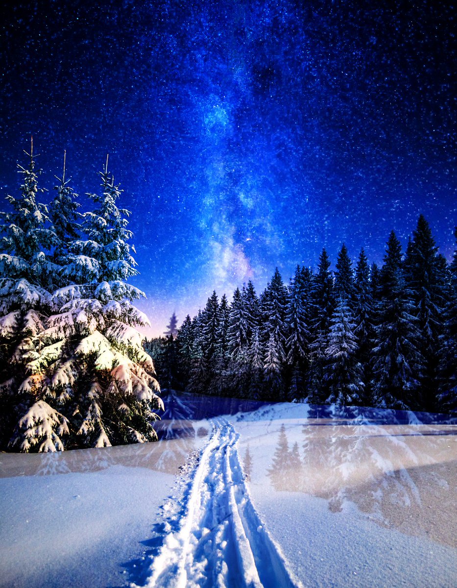 sanrotasu0216's tweet photo. A Winter Walk　Đường đi bộ mùa đông　#AI #PS #Adobe https://t.co/y03JhF0VXF