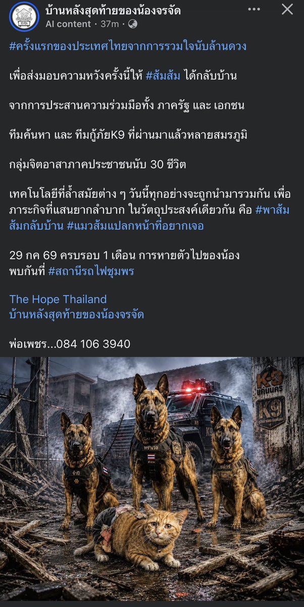 KhaohomSiri's tweet photo. ช่วยกันกระจายข่าวค่ะ 🙏🏻

พรุ่งนี้ 29 กค. 69 จะมีการร่วมมือกันของทุกฝ่ายในการตามหาน้องสีส้ม 

ทีมหน้าจอออนไลน์ ขอส่งกำลังใจให้ทีมค้นหา ในภารกิจการตามหาน้องสีส้มในครั้งนี้สำเร็จลุล่วงไปได้ด้วยดี ได้พบน้องสีส้ม และพาน้องกลับบ้านอย่างปลอดภัย 🙏🏻

#แมวหาย #แมวหายบนรถไฟ #ส้มส้ม #ชุมพร https://t.co/3KtzzFKjA4