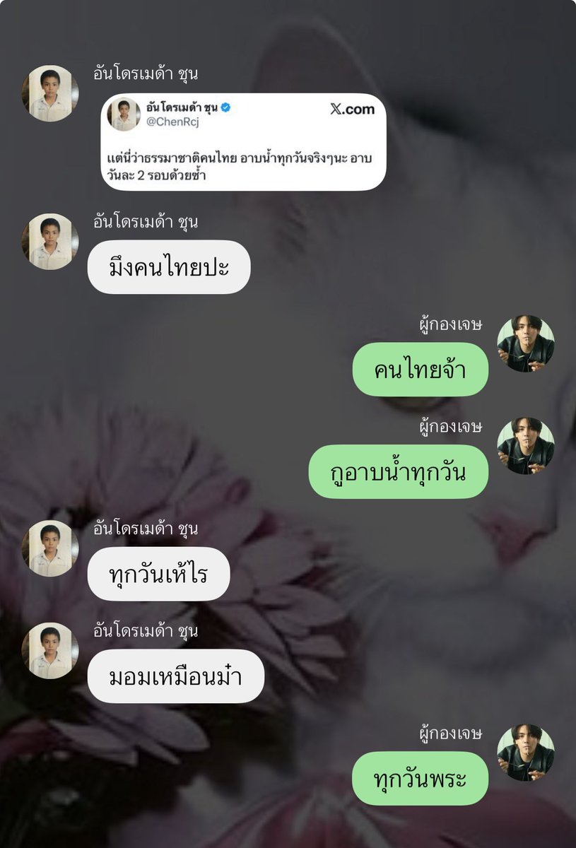 แรปเปอร์แมวเหมียว 。🍭⁺ tweet media