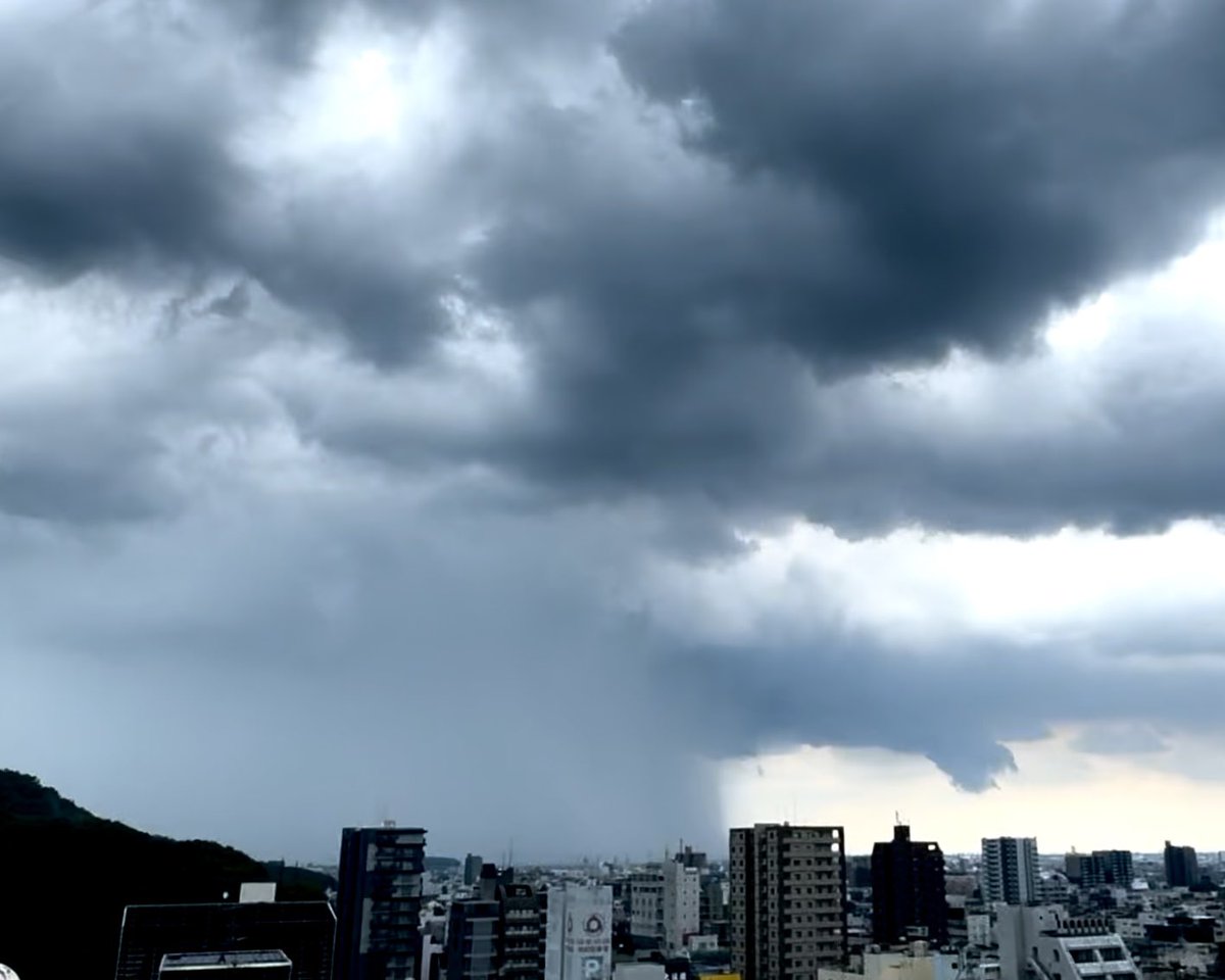 yanamane's tweet photo. 雨柱が出来とった!! https://t.co/5wi7ifcP97