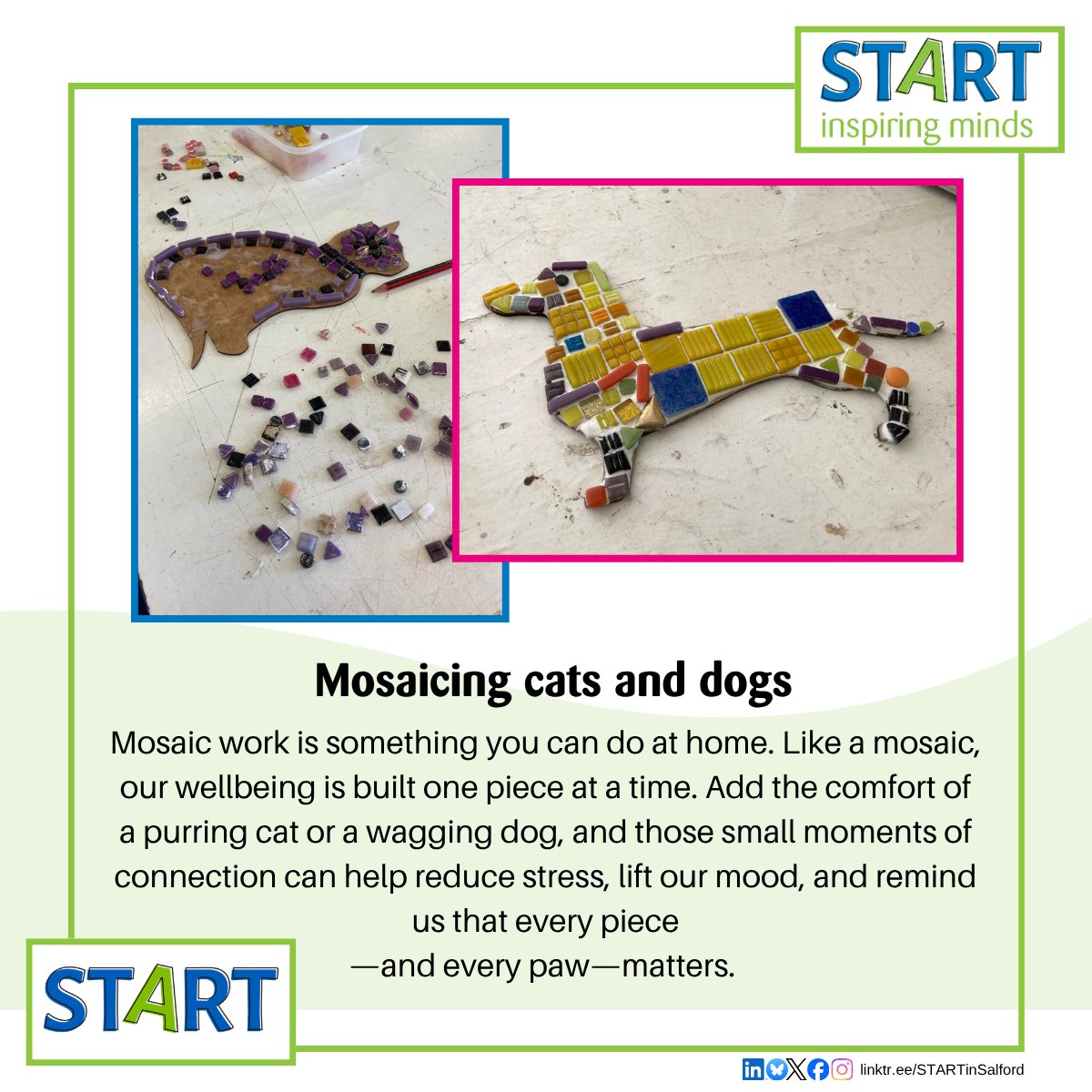 STARTinspminds's tweet photo. You can do mosaic work at home. Like a mosaic, our wellbeing is built one piece at a time. Add the comfort of a purring cat or a wagging dog, and those small moments of connection can help reduce stress, lift our mood, and remind us that every piece—and every paw—matters. https://t.co/QE9L9eYM81