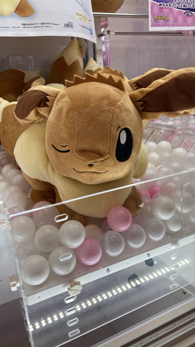 GiGO_hanazono's tweet photo. ✨GiGO 花園 景品入荷情報✨

ポケットモンスター　めちゃもふぐっとぬいぐるみ　イーブイフレンズ～イーブイ～おひるねｖｅｒ．

✨入荷しました✨

#GiGO花園 #GiGO花園景品情報 #GiGOのお店 https://t.co/wOHRgkfu7Q