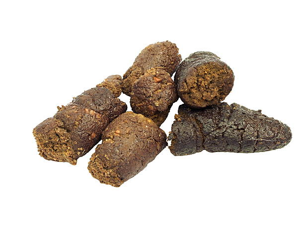 dogpoo