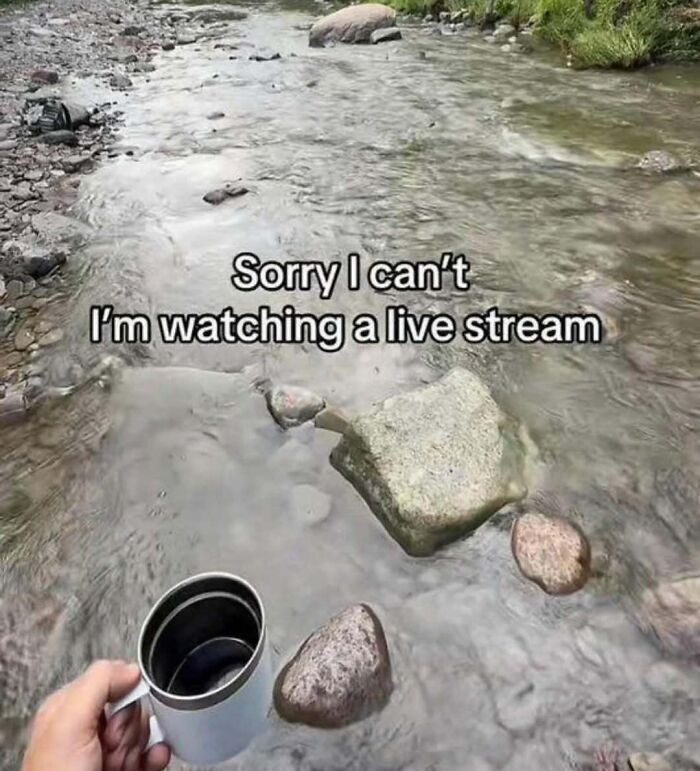 WholesomeMeme's tweet photo. https://t.co/powpP2tRa7