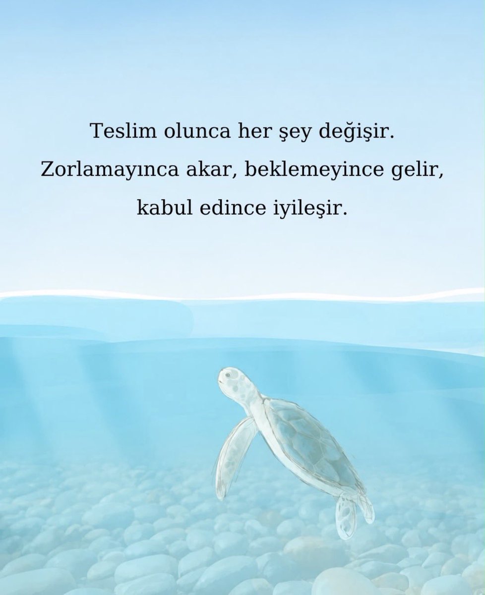 iyigeldii's tweet photo. https://t.co/c3ghwRwq6s