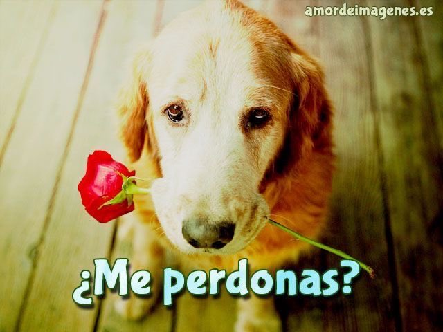 AleeMaral's tweet photo. @Jooosssba 😔😔😔 https://t.co/fXRkxMZ64o