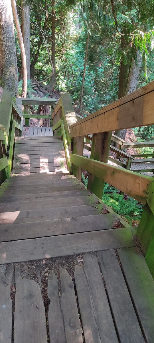 birgee's tweet photo. @Grampa1950 #Lookdown https://t.co/u4beKYTMM4