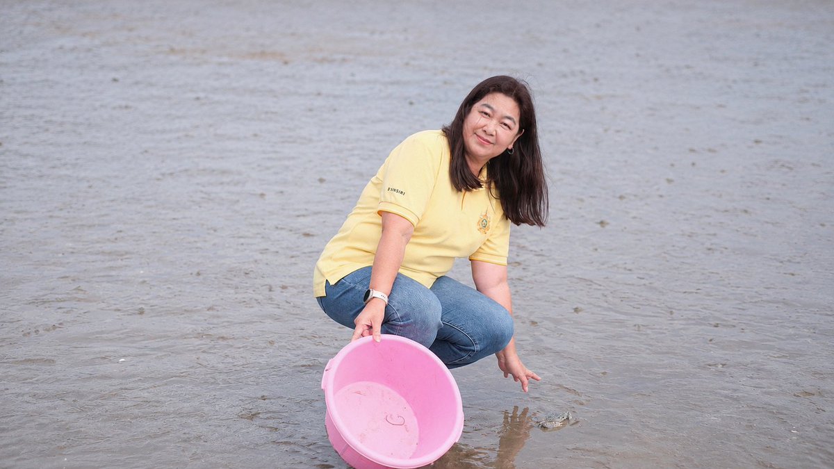 nainice03's tweet photo. #PlusProperty ชวนลูกบ้านกว่า 120 คน ร่วมปล่อยปูม้าและเรียนรู้ระบบนิเวศป่าชายเลนในวันป่าชายเลนโลก ที่ วนอุทยานปราณบุรี เป็นอีกกิจกรรมที่ร่วมสืบสานพระราชปณิธานของในหลวงรัชกาลที่ 9 และน้อมนำแนวพระราชดำริ สืบสาน รักษา ต่อยอด ของในหลวงรัชกาลที่ 10 เพื่อส่งต่อธรรมชาติที่ยั่งยืน 🌿 https://t.co/j2M7VoO93D