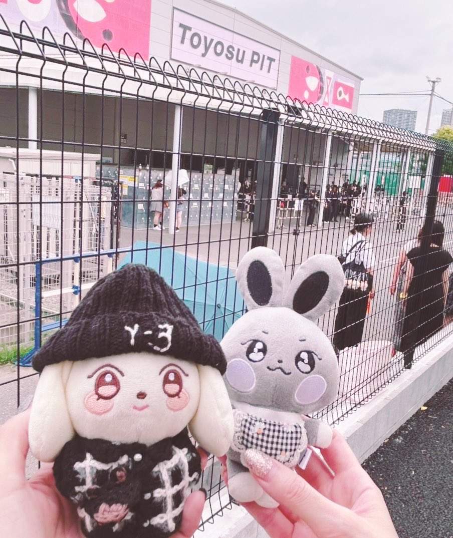 _mm_m2's tweet photo. 🐩🌼🐰🩶 https://t.co/LAygRJoheX