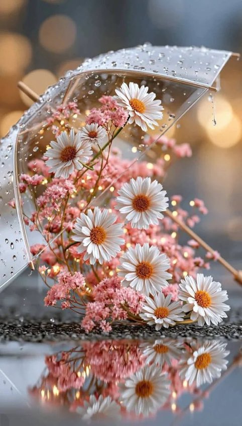 f5l5f5's tweet photo. ••

صباح السّعادَة التي نَتَمنّاها لِـ قُلوبِنا 
وَقُلوب مَن نُحب  💛🕊️

صبـــاح الخير ،، 🌸🌿

#صباح_الخير_والسعادة https://t.co/4SCiTWsxdk