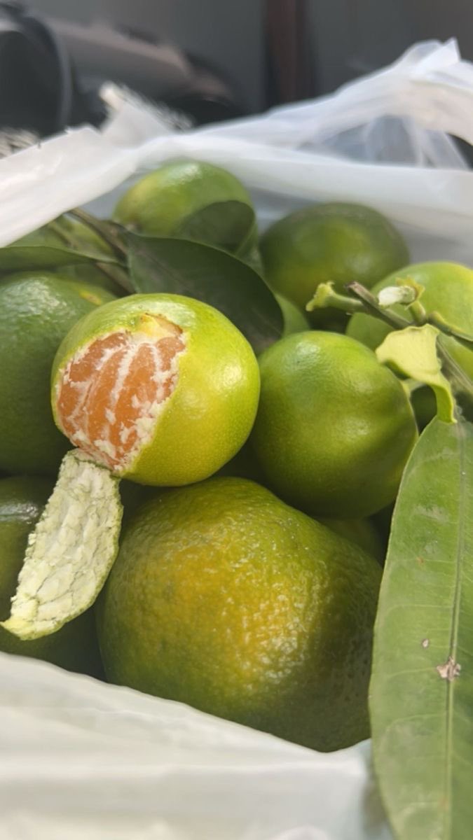 ThinkNGuess's tweet photo. People keep thinking but nobody knows the name of this fruit https://t.co/UWbPfwrahW