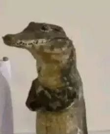 Predatory_slime's tweet photo. Al final esos pendejos me dieron la razón xD
Pero es triste que tengan que defender a un personaje de mierda https://t.co/KiSvKs4OY1