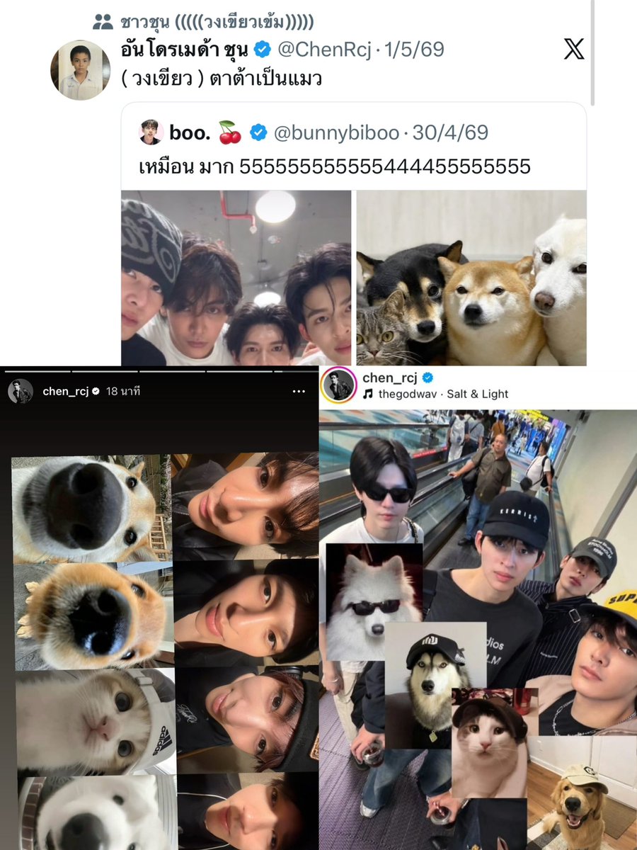 bunnybiboo's tweet photo. คนที่คีพน้องต้าเป็นแมวที่สุดในวงคือ : https://t.co/gDZdulrPLj