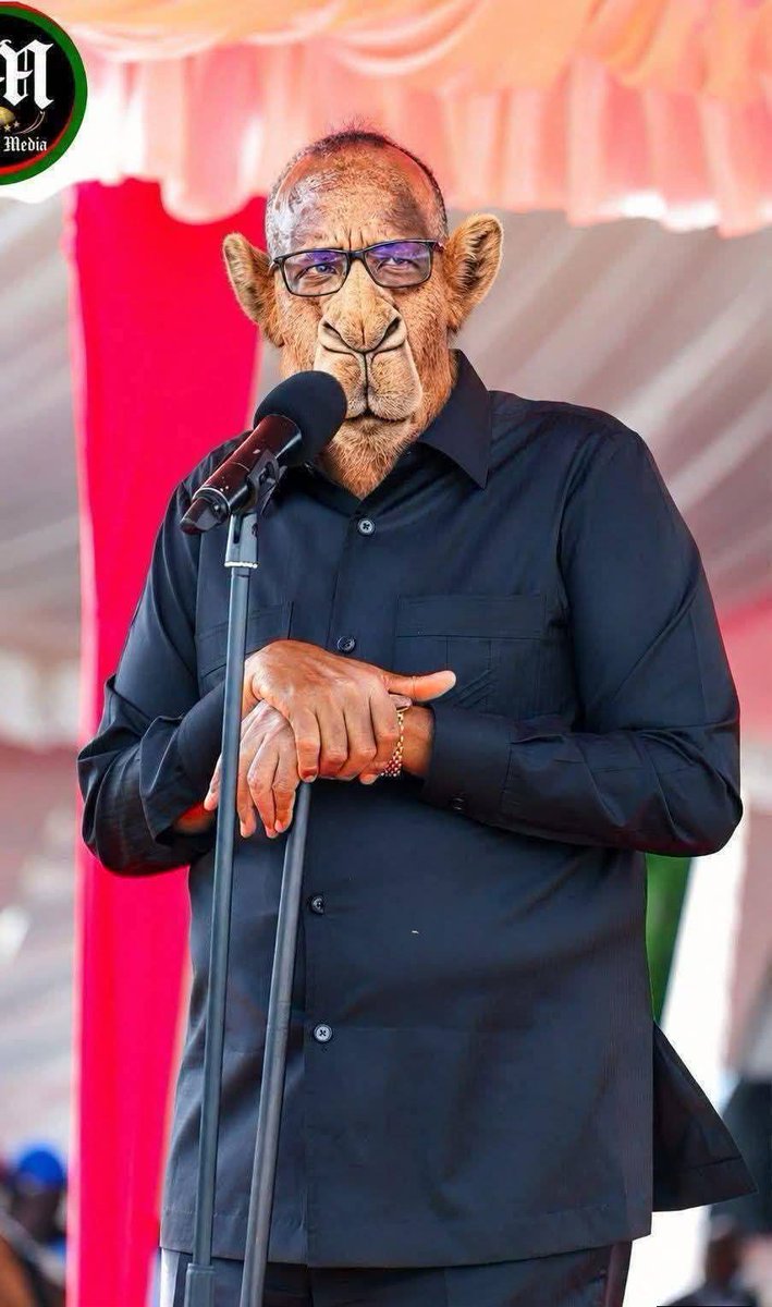 KentMaster70254's tweet photo. @WilliamsRuto Wantam! https://t.co/TNRvyytmWL