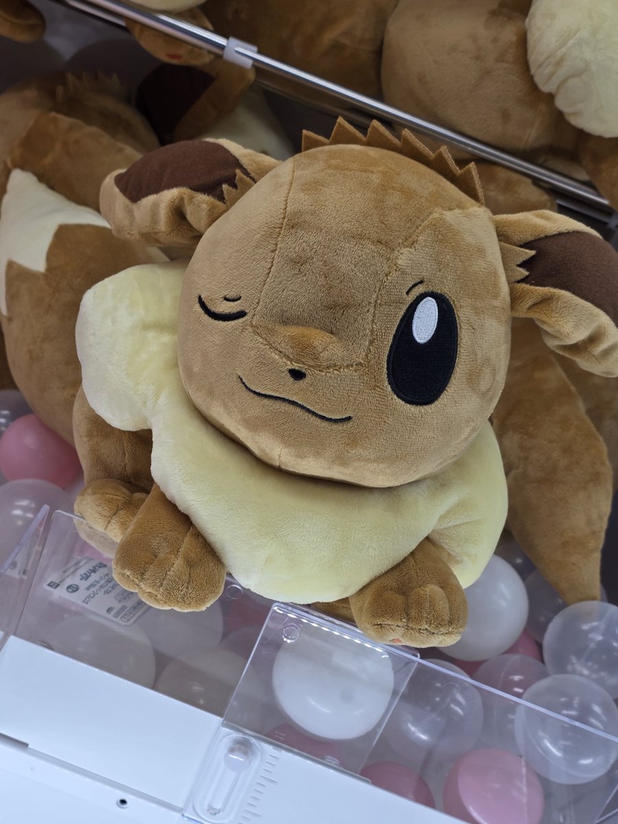 ポケモン☆♥イーブイ♥☆とってもおおきな ふんわり ぬいぐるみ