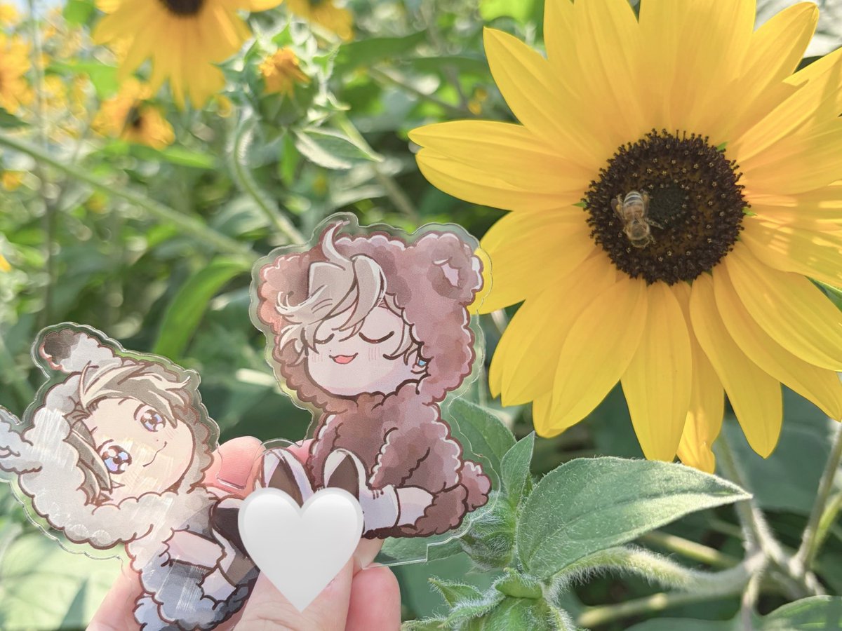 orechi_82's tweet photo. かわいいね！🌻
( 今日じゃない ) https://t.co/Kjhze2QPlJ