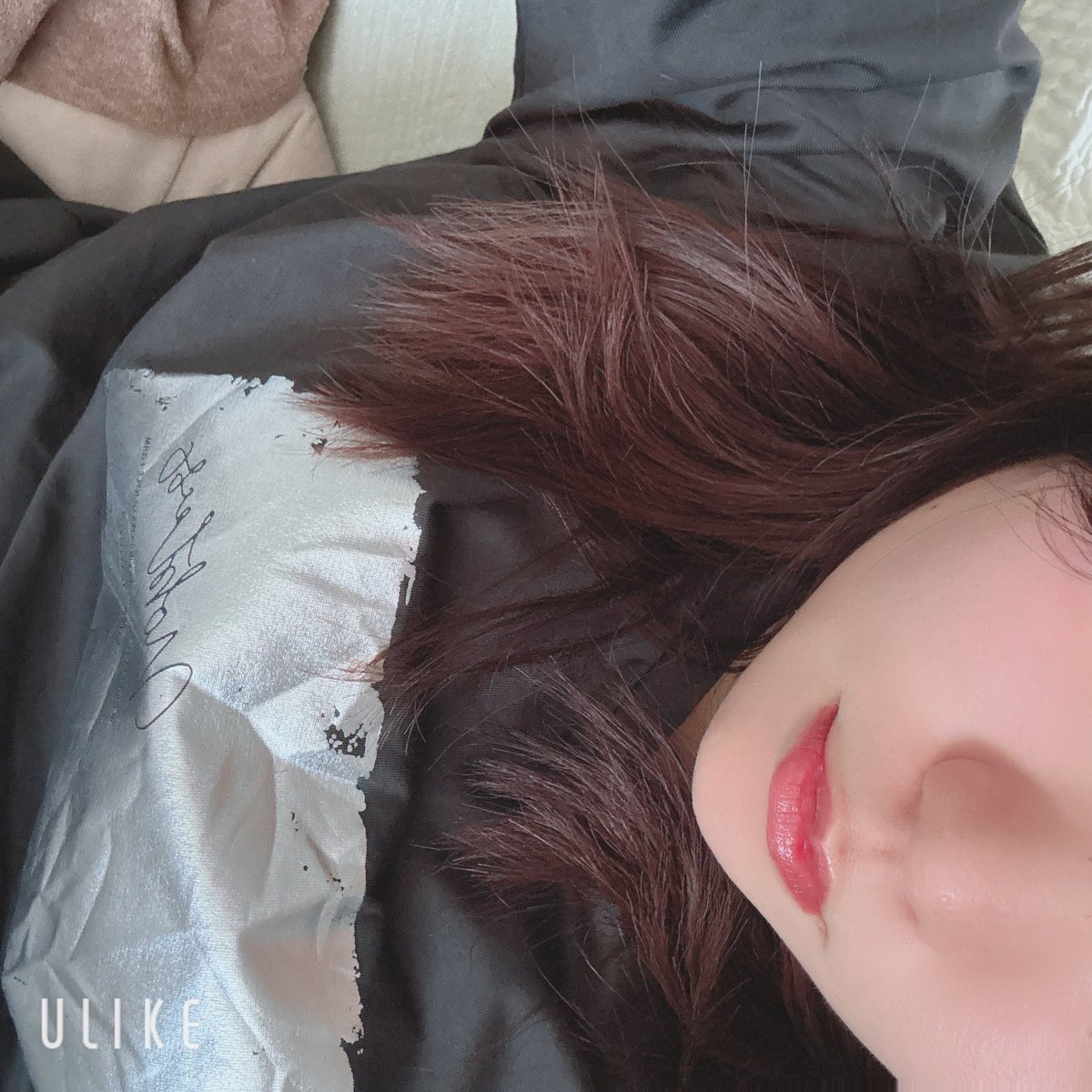 _lippil's tweet photo. お出かけしてるんるんで帰ってきた https://t.co/ufPHhSzFbl