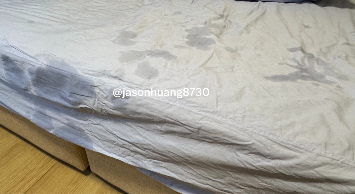 Jasonhuang8730's tweet photo. 久沒開機 水管又被挖噴了🤤💦
大淹水⋯狗勾家從此不缺水了😚 https://t.co/6jFYitWAX2