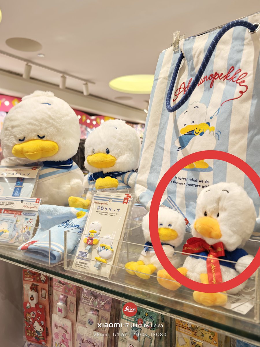 emmaqiuhk's tweet photo. このペックル、頭にパンチでも食らったみたいにへこんでて切ない😭 https://t.co/2cV5cwuZZt