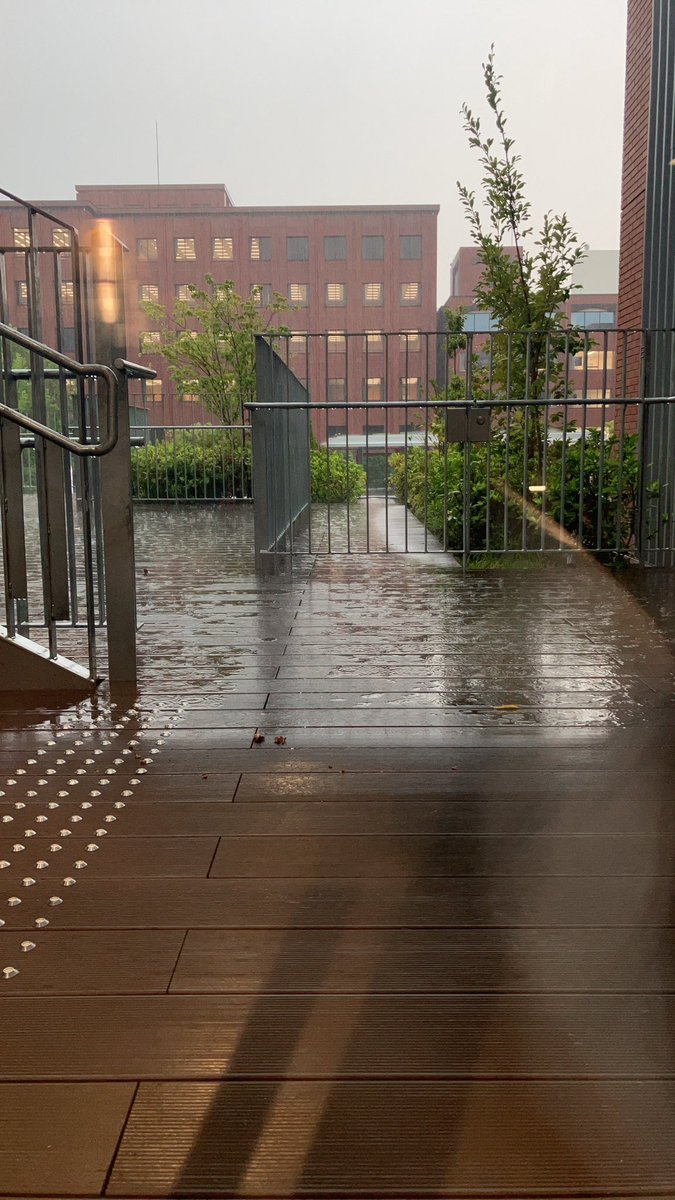 ARY_OnGAKU's tweet photo. 雨降ってる！雨降ってる！雨降ってる！雨降ってる！雨降ってる！雨降ってる！雨降ってる！雨降ってる！雨降ってる！雨降ってる！雨降ってる！雨降ってる！雨降ってる！雨降ってる！雨降ってる！雨降ってる！雨降ってる！雨降ってる！雨降ってる！雨降ってる！雨降ってる！雨降ってる！雨降ってる！雨降 https://t.co/AYmS9H4InQ