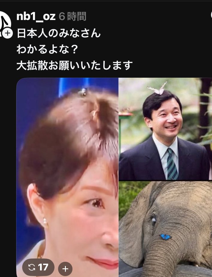 kkkfff1234k's tweet photo. ハエは💩と腐ったモノに  中身が腐ってるからね それにしても大きな🪰
象🐘より臭いｻﾅｪ www www https://t.co/zXvLJwLOn7