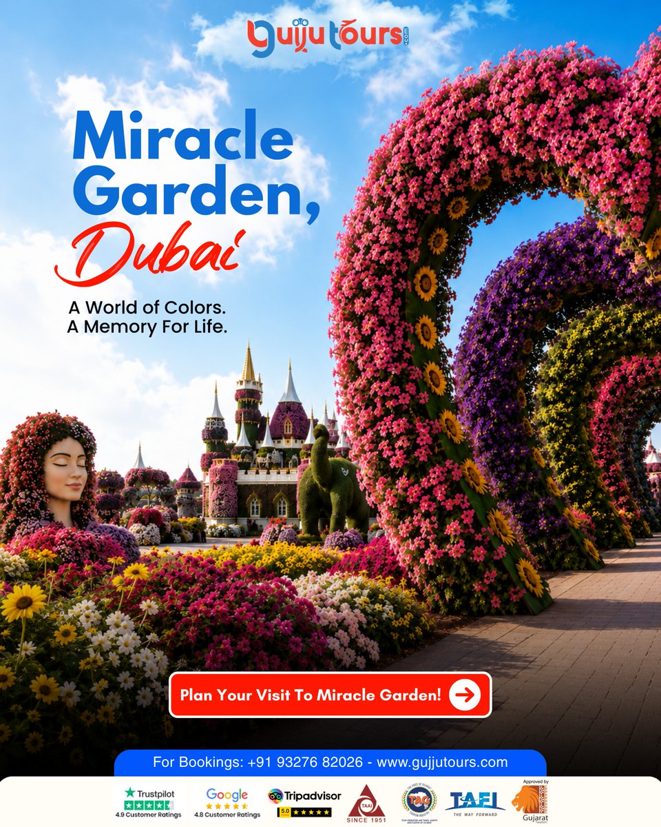 GujjuTours's tweet photo. Discover the magical beauty of Dubai Miracle Garden – a destination that turns every corner into a picture-perfect memory.

Let Gujju Tours make your dream Dubai getaway effortless and unforgettable!

Book now: +91 93276 82026

#DubaiMiracleGarden #Dubai #DubaiTravel #GujjuTours https://t.co/prBi1mAG0o