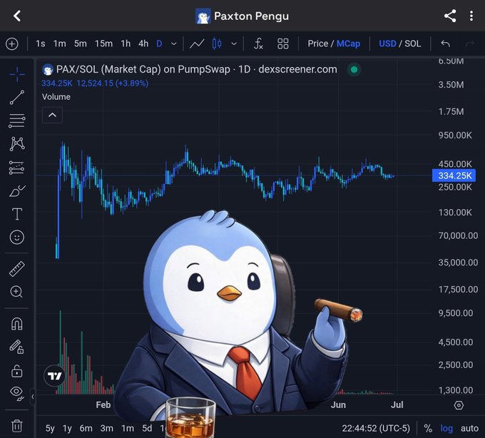 PasotoreZ's tweet photo. @paxonsol The Art Is Cool, But The Real Masterpiece Might End Up Being The $PAX Chart. https://t.co/iGGOgImj42