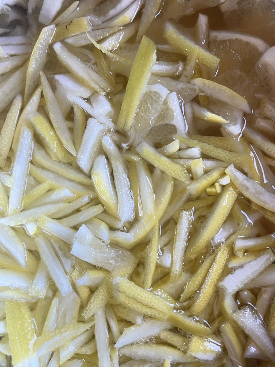 AstridEthereal's tweet photo. Blessed by the citrus fairies 🍊🧚‍♀️ two bags full of homegrown grapefruits, lemons, and oranges! Soon to be grapefruit and ginger marmalade, lemon cordial, fresh juice, and oyster vinegaratte https://t.co/E2uVZGUcsT