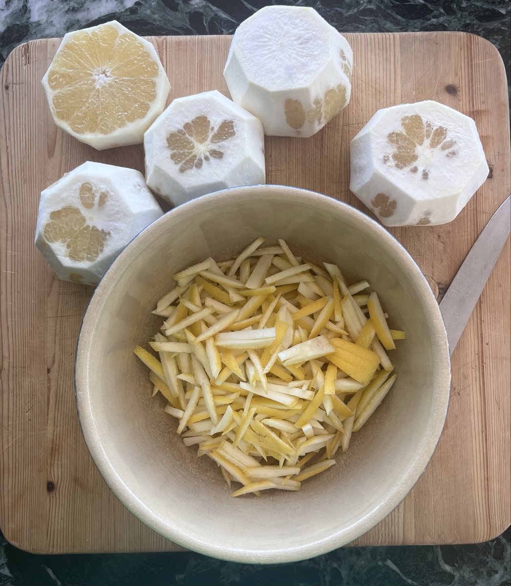 AstridEthereal's tweet photo. Blessed by the citrus fairies 🍊🧚‍♀️ two bags full of homegrown grapefruits, lemons, and oranges! Soon to be grapefruit and ginger marmalade, lemon cordial, fresh juice, and oyster vinegaratte https://t.co/E2uVZGUcsT