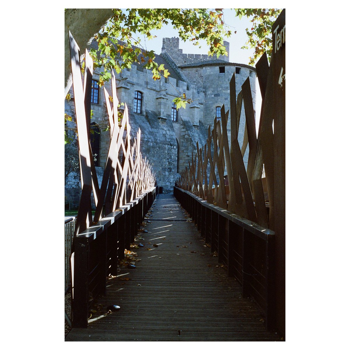 Meja_Mathieu's tweet photo. 📷 : Konica FS-1
🎞 : Mira 800
📍 : Narbonne
#filmphotography #filmisnotdead https://t.co/TTCXprJhL2