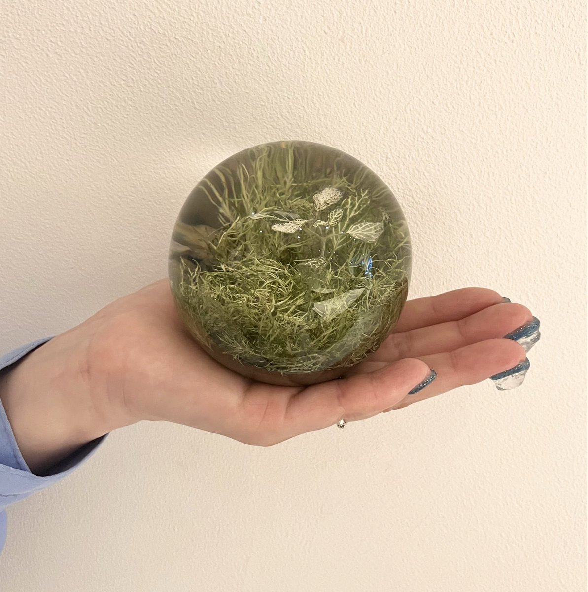 8ookami_com's tweet photo. お部屋に緑を🌿
本物の植物を封じ込めたレジン製のオブジェ「EVER LEAF BALL」
光の角度によって変わる、立体的に広がる植物の姿を楽しめます🌱
(税込7,480円)
ご自身やプレゼントに是非どうぞ🎁
(こちらの商品は店舗のみの販売となります)
#八本足のオオカミ #楠橋紋織 #moritaMiW #森田MiW #オブジェ #インテリア #吉祥寺 #ギャラリー