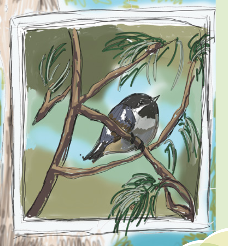 CA_Cleanforest tweet picture