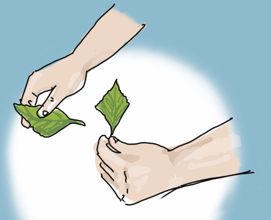CA_Cleanforest tweet picture