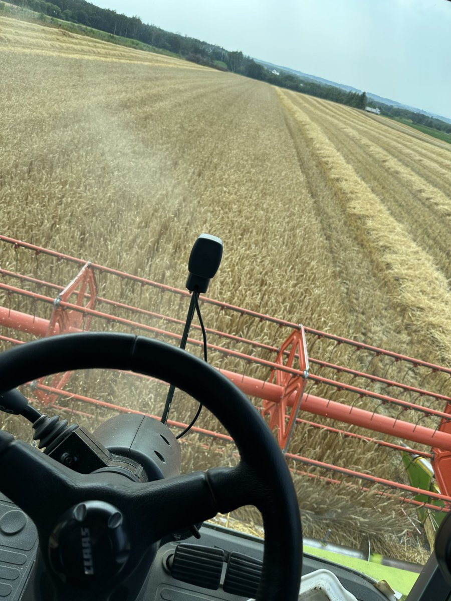 _sugar_024's tweet photo. 👩‍🌾🌾🌾 https://t.co/Yo0kvYgqHo