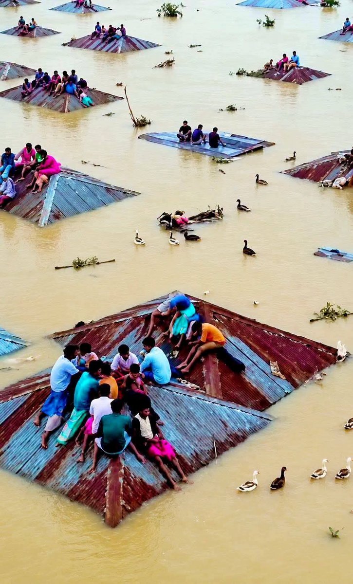 MeetPra82522063's tweet photo. Flood conditions in Assam have improved, but more than 500,000 people remain affected as relief and rehabilitation efforts continue.
#Assam #AssamFloods #FloodRelief #Floods #DisasterRelief #RescueOperations #Monsoon #HeavyRainfall #Climate #help #SupportAssam #PrayForAssam https://t.co/N6J6q5cpJe