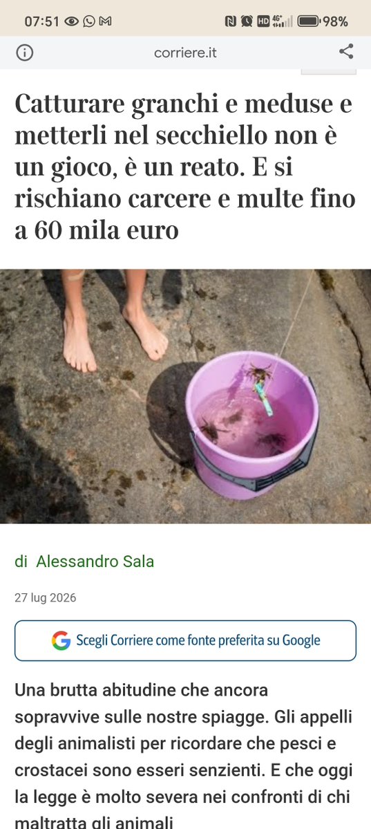 AlbertoBon498's tweet photo. Guardando a ciò che accade in giro, d #estate è meglio #stuprare o #rapinare, piuttosto che giocare innocentemente con tuo figlio in spiaggia.
#sinistri
#gioggia
#ItaliaPaeseDiMerda
#remigrazione https://t.co/h6D3Jostri