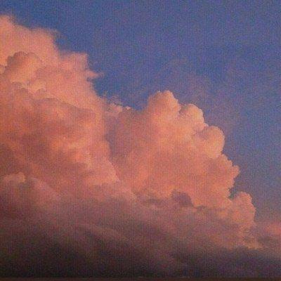 ShayaEssa's tweet photo. Inclusion is about opening hearts and minds to new perspectives.  Learn 🌺 https://t.co/ueEtP1nzc3