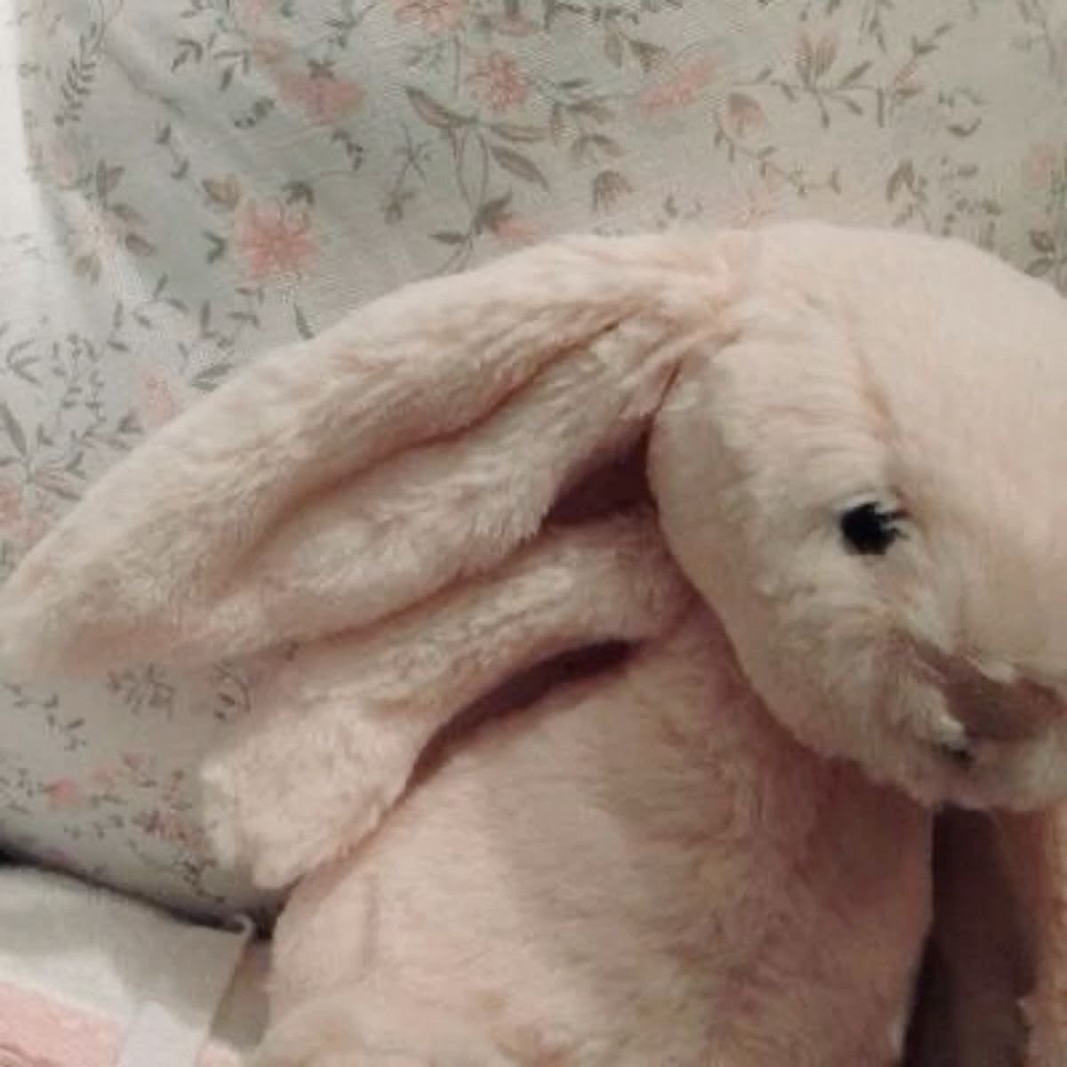 rosescentedfawn's tweet photo. edrtwt intro !!! ⋆˚࿔ looking for moots

⤷  she/her | ‘09 | 152 cm | dni : fatphobia, racism, homophobia | ugw: 38kg ˚. ᵎᵎ https://t.co/YXLPyLsVfY