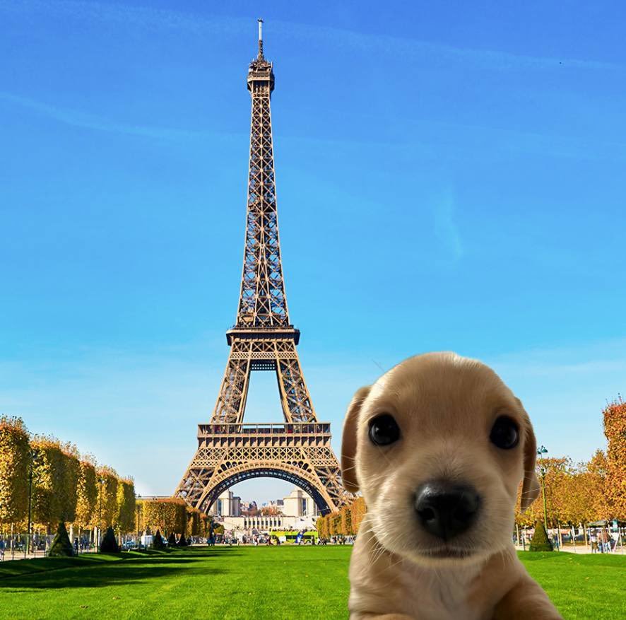 billycoin4ever's tweet photo. gm paris https://t.co/YyNG1Wx1Z0
