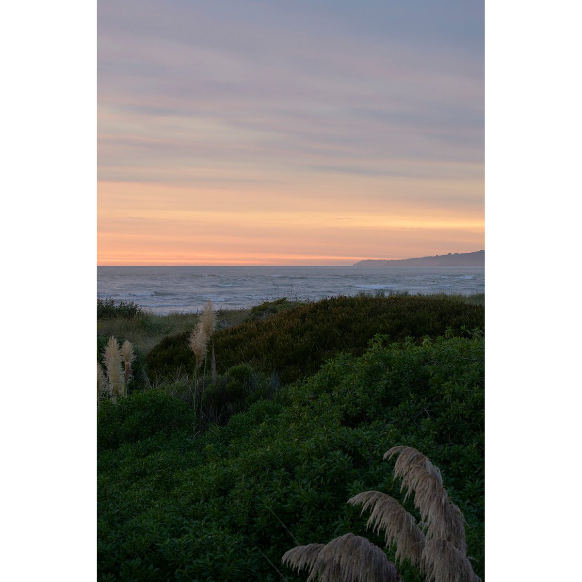 stevemaylone's tweet photo. Our rental in Tasman had an incredible view for enjoying our morning coffee.

#tasman 
#tasmansea 
#newzealand
#purenz 
#newzealandlandscape 
#newzealandphotography https://t.co/u5IghrTGxT