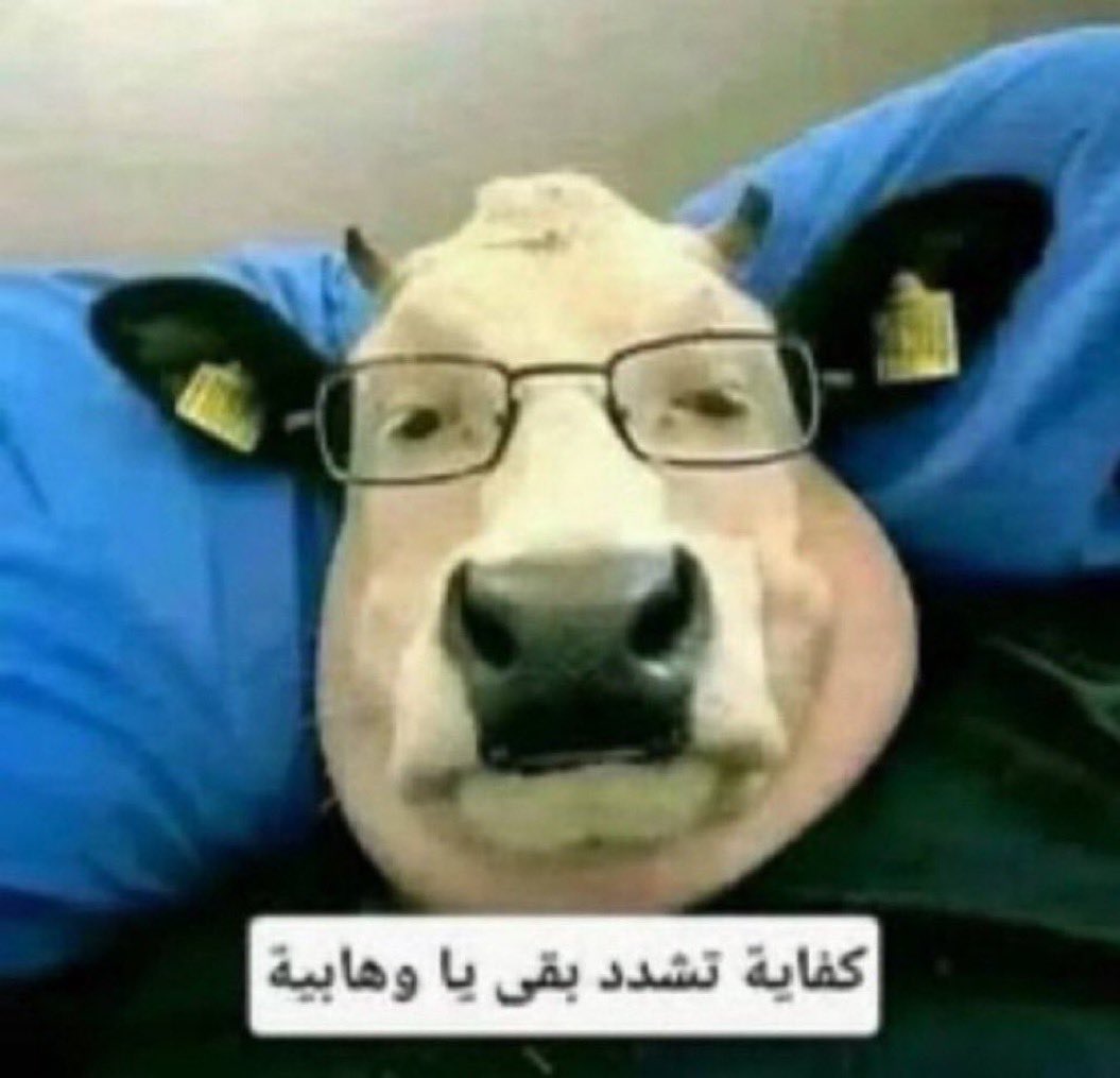 uchiha_fahd's tweet photo. @Abu_Sufyan33 الي تاخذ منهم معلومات تkفير علي رضي الله عنه https://t.co/5GJrFD3QmK