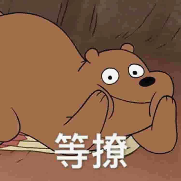 Aditya97556201's tweet photo. Every person’s story adds depth to the human mosaic. Let’s honor and learn from each one.  InclusionMatters Diversity 💐 https://t.co/eifnFDlpgB