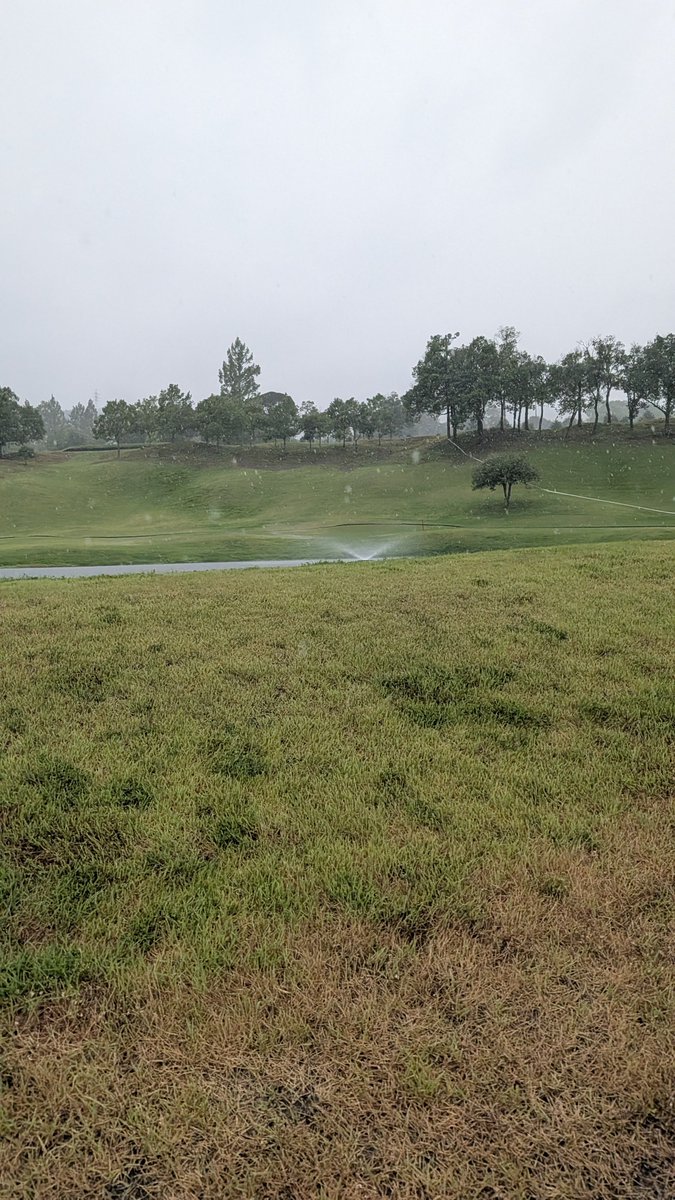 excelperson's tweet photo. 令和8年7月28日(火)

急なひどい雨と雷で
ゴルフ場クローズしました😱
ゴルコン途中中止初めての体験です😣

なんて日だ！！
のんちゃん気をつけて帰ってね

#ゴルコン
#ゴルフマスターズ
#推し活記録
@nozomi_imada https://t.co/SPKMTg1dzw